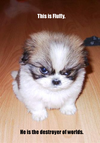 http://www.rumormillnews.com/pix4/fluffy.jpg
