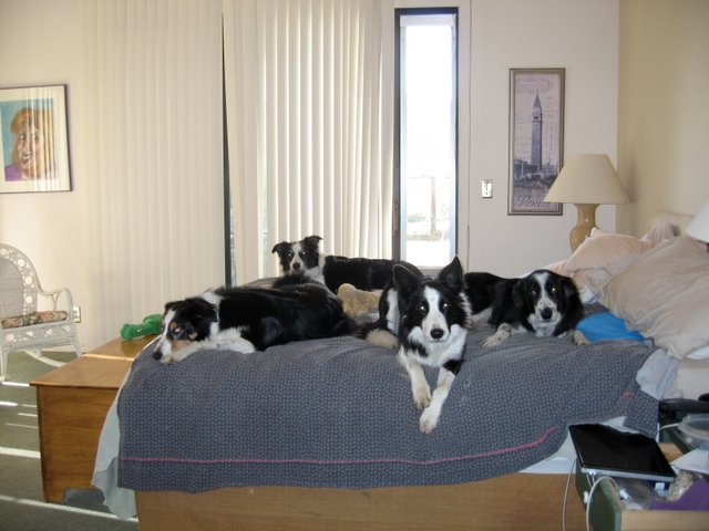 http://www.rumormillnews.com/pix5/Bed_final.JPG