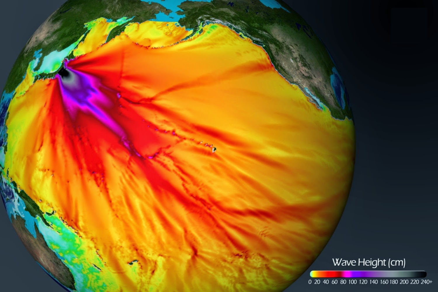 Fukushima Plume