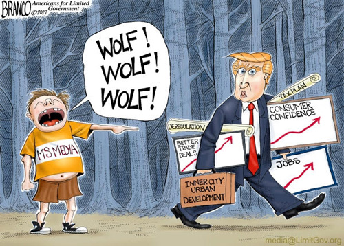 liberals-cry-wolf-trump-cartoon.jpg